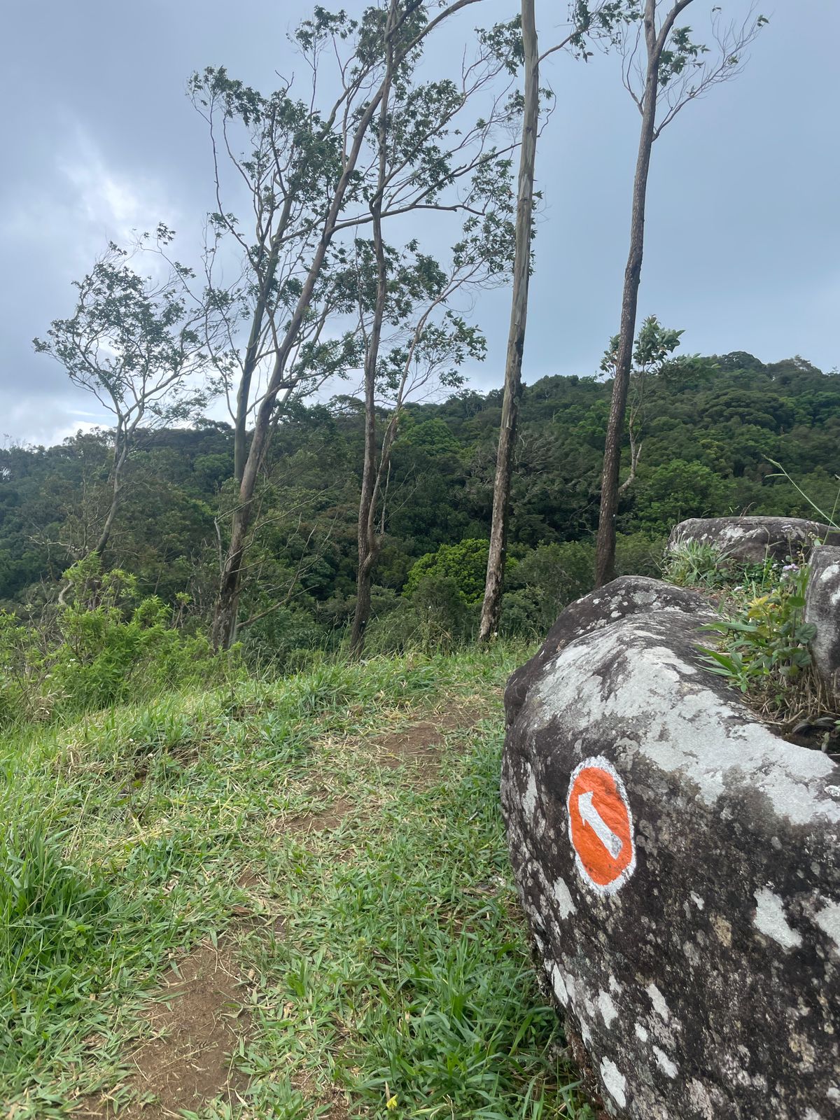 Explore the Pekoe Trail